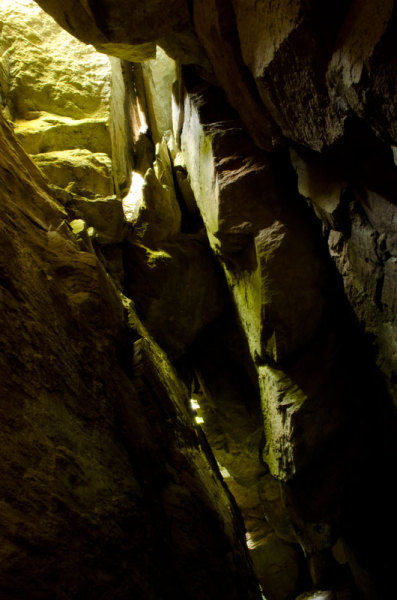 The ceiling of the Guieiza