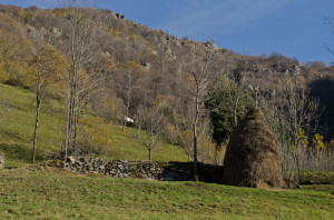 Il paesaggio di Pradeltorno