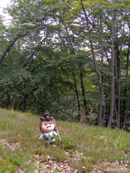 Un tempo questi alberi non c'erano e da qui si poteva osservare la strada per Rorà