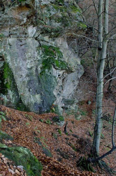 Ci sono molti spuntoni di roccia in questo posto