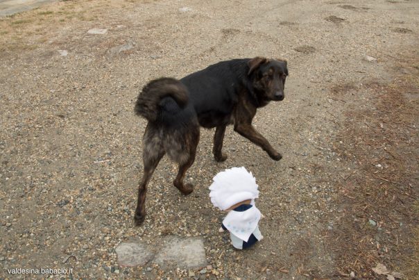 “Hello! What do you know about the history of this temple?” “Woof!”