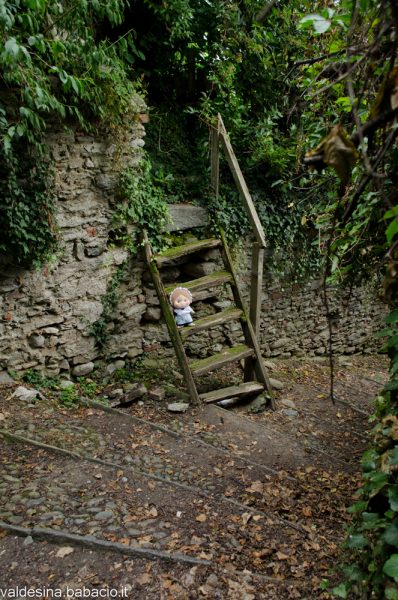 Dalla gradinata si accede anche ad altri livelli di terreno che ospitano degli orti.