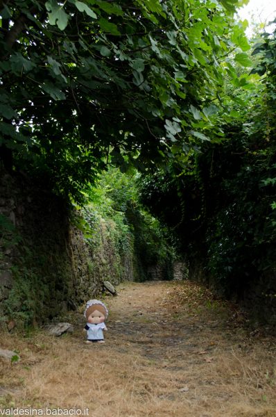 In alcuni tratti la gradinata esiste più... Ne approfitto per riposarmi sotto questo albero di fico!